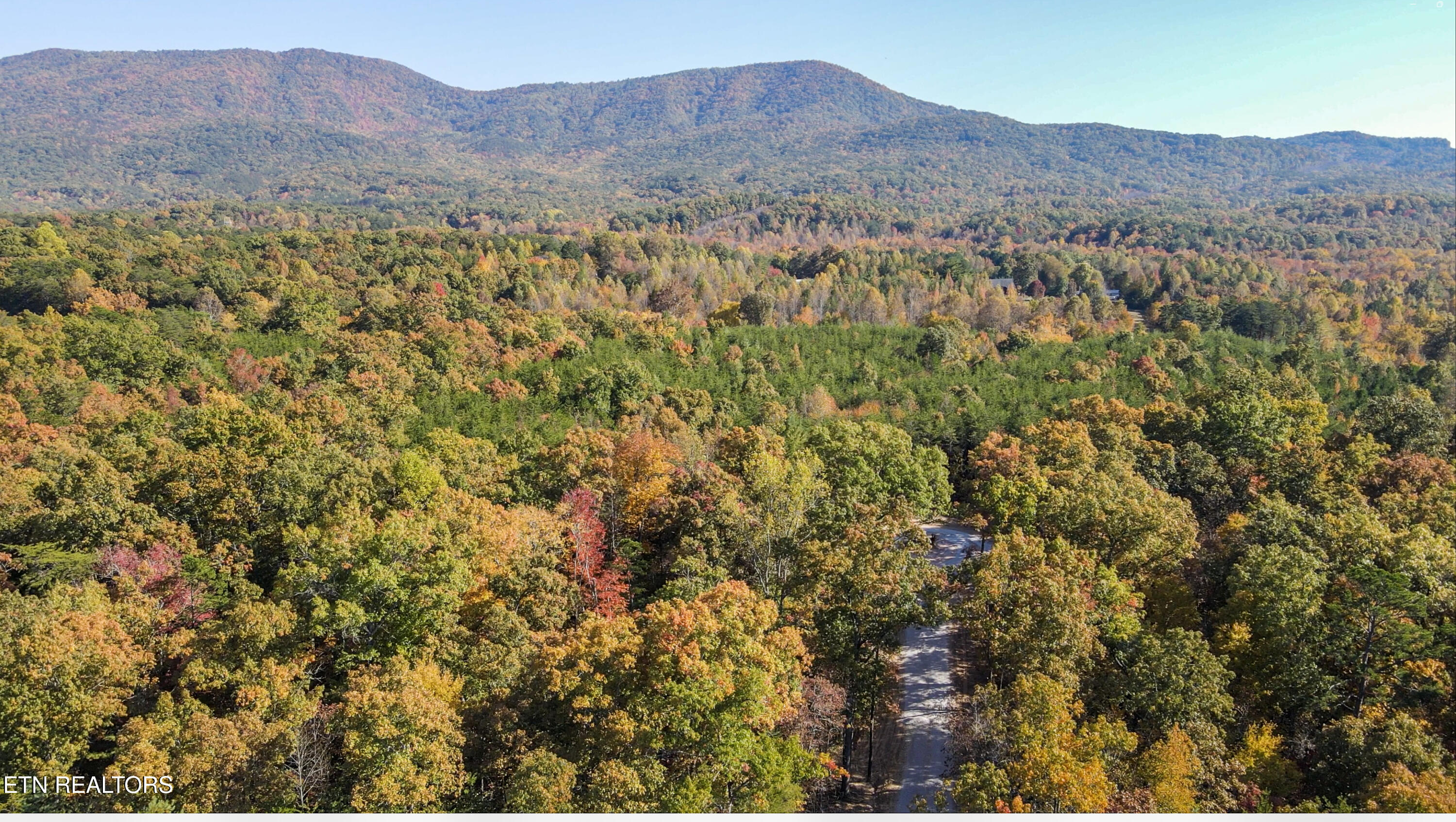 102 Cherokee Path Tellico Plains, TN 37385 - Photo 1 of 58 18-87 ac Hwy 68