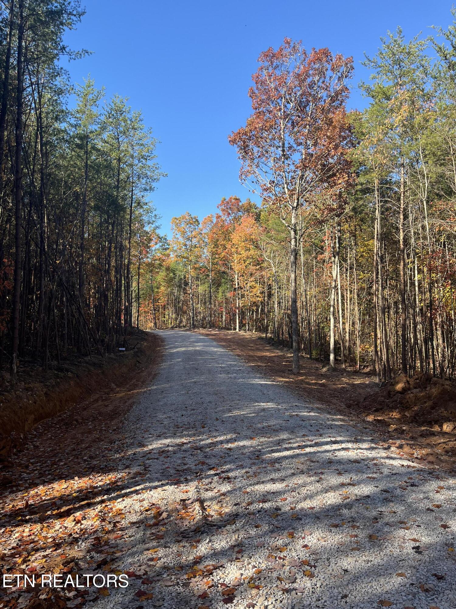 102 Cherokee Path Tellico Plains, TN 37385 - Photo 14 of 58 IMG_1660