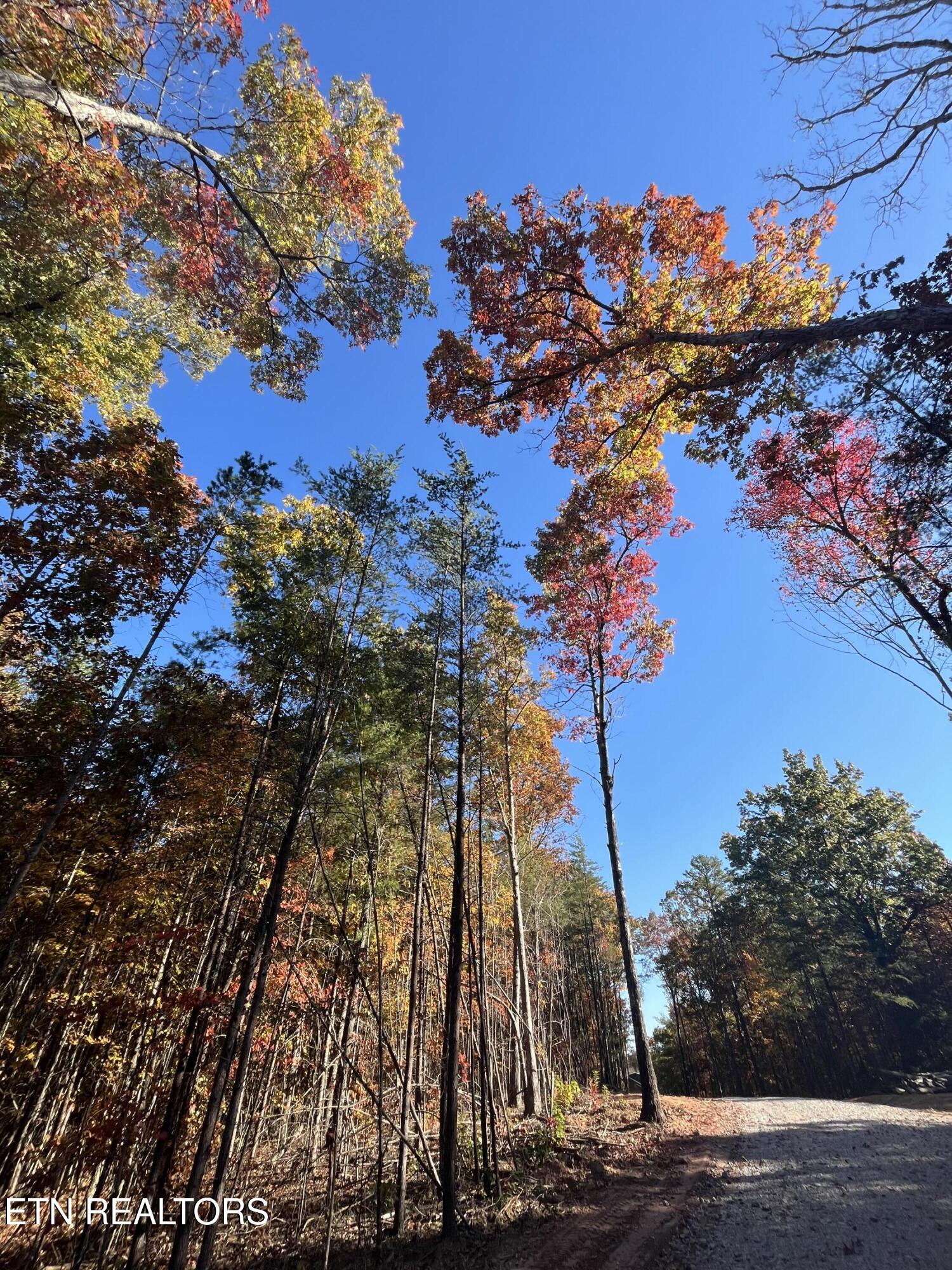 102 Cherokee Path Tellico Plains, TN 37385 - Photo 19 of 58 IMG_1664