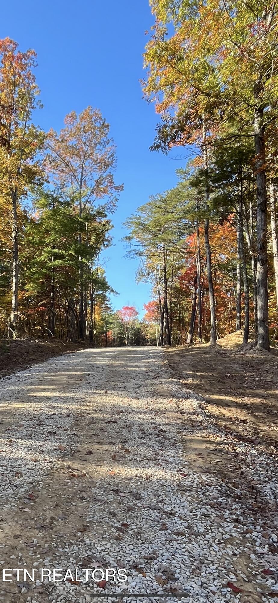 102 Cherokee Path Tellico Plains, TN 37385 - Photo 31 of 58 IMG_1703