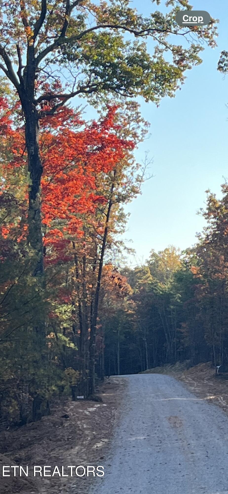 102 Cherokee Path Tellico Plains, TN 37385 - Photo 32 of 58 IMG_1758