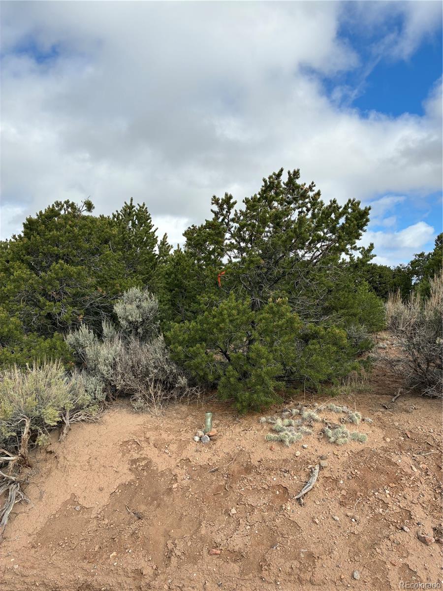 Lot 1057 Hotchkiss Road Fort Garland, CO 81133 - Photo 12 of 16 a view of a yard with plants and wooden fence