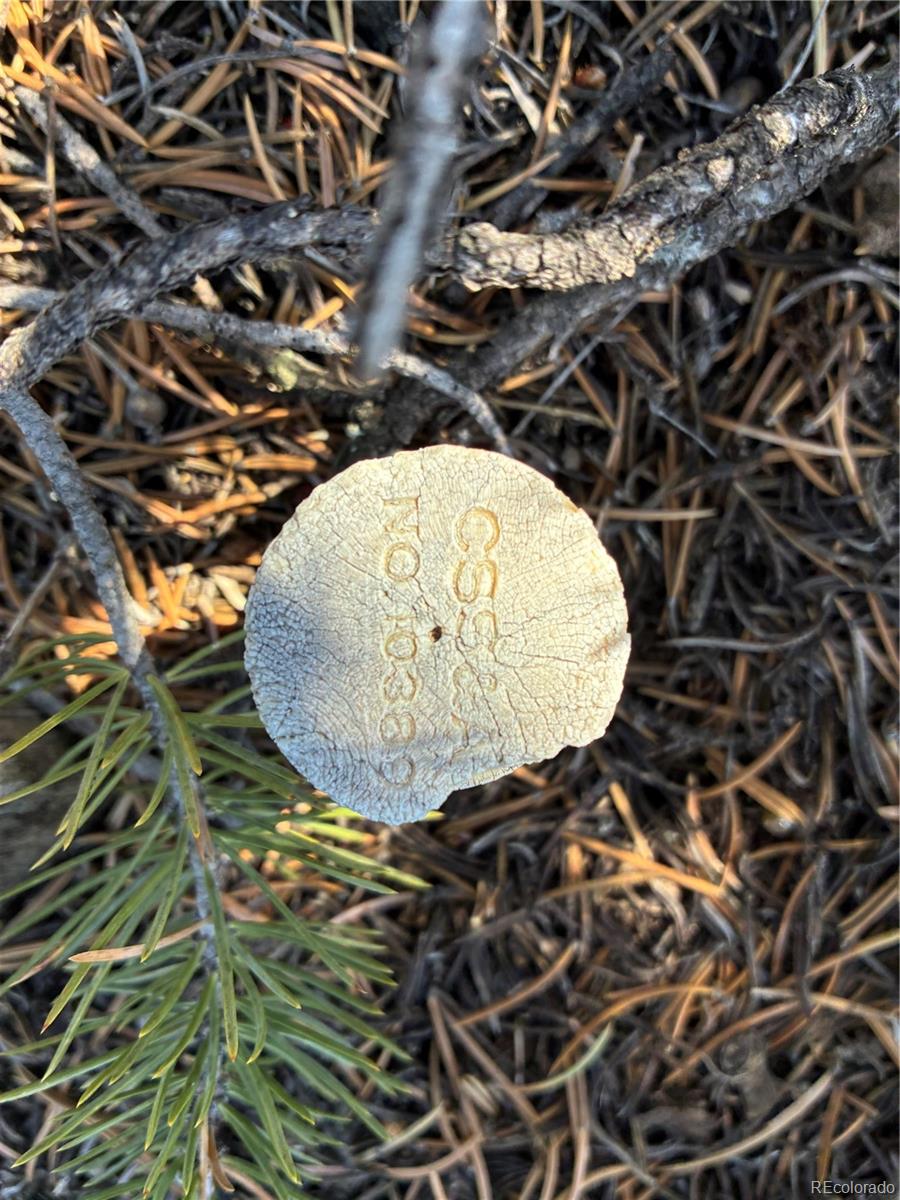 Lot 1057 Hotchkiss Road Fort Garland, CO 81133 - Photo 13 of 16