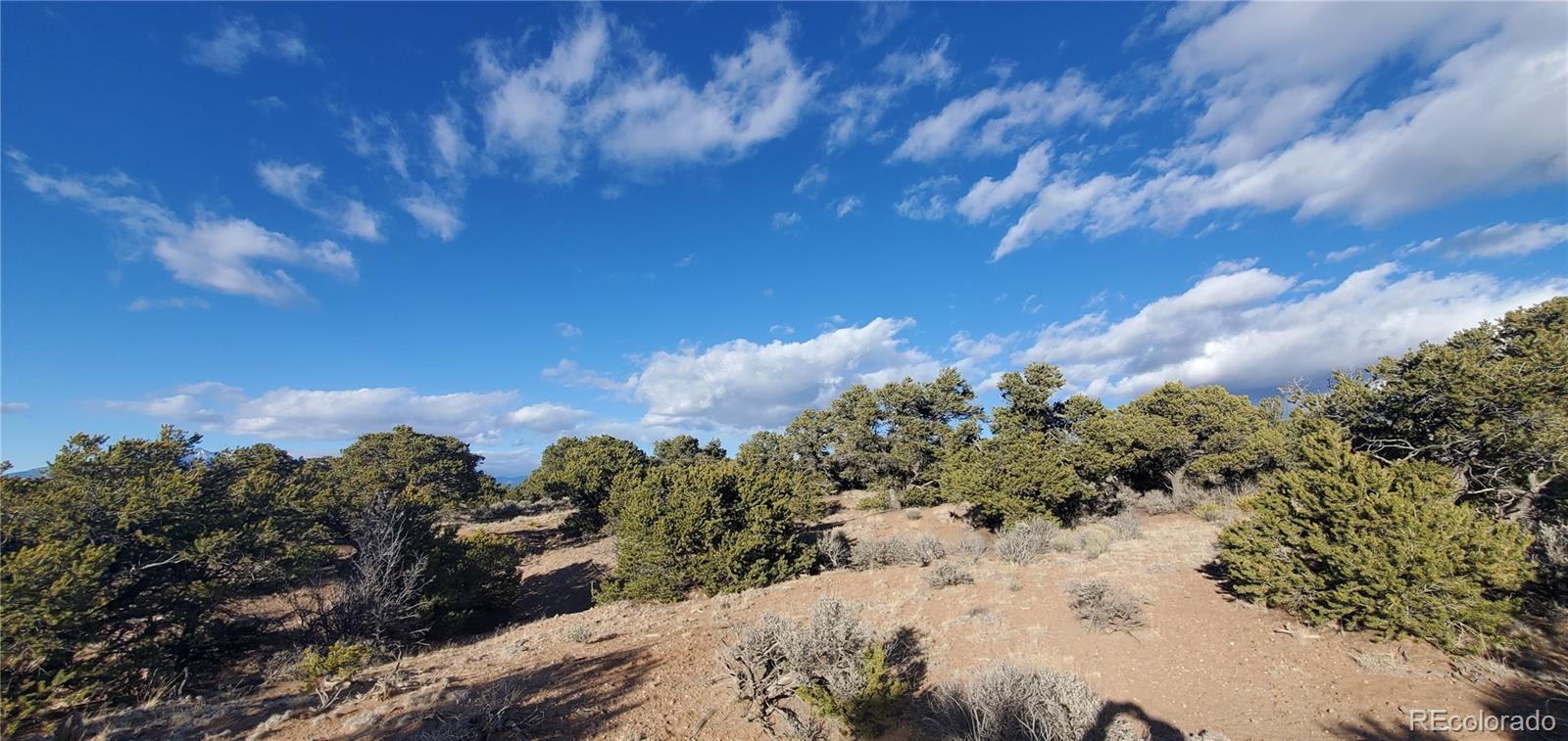 Lot 1057 Hotchkiss Road Fort Garland, CO 81133 - Photo 4 of 16 a view of a yard with a tree