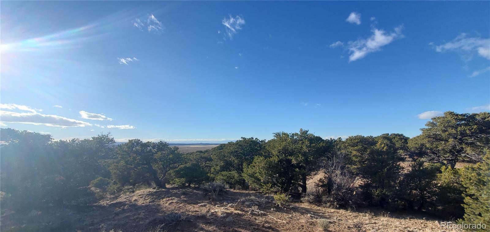 Lot 1057 Hotchkiss Road Fort Garland, CO 81133 - Photo 6 of 16 a view of a big yard