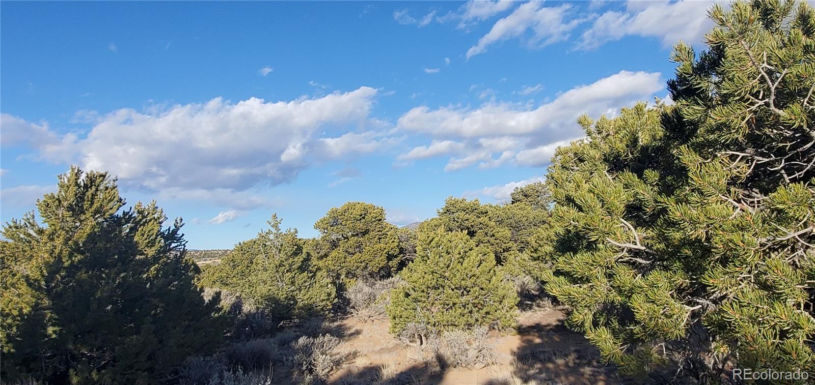 Lot 1057 Hotchkiss Road Fort Garland, CO 81133 - Photo 10 of 16 a view of a bunch of trees