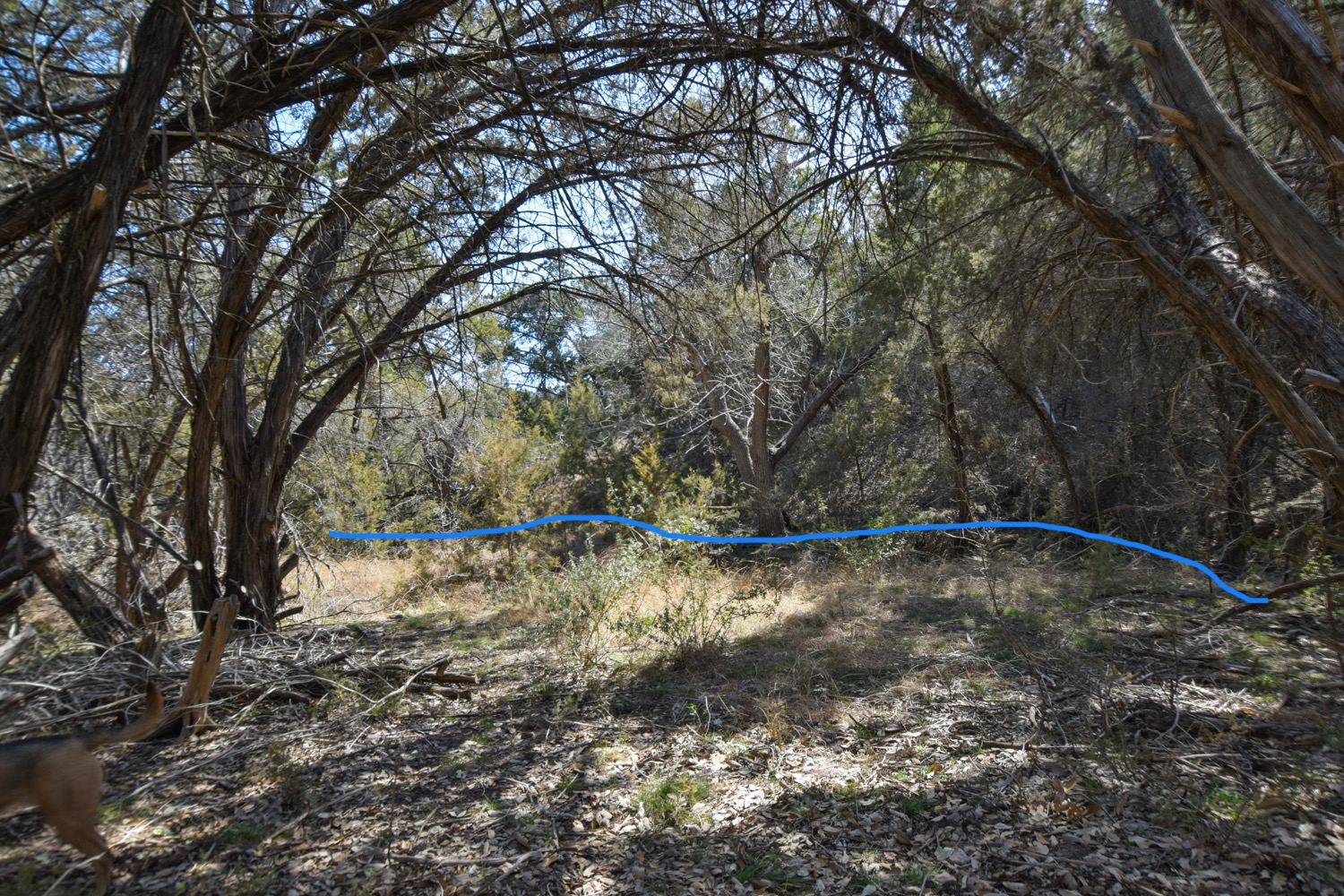 370 B Kothmann Road Dripping Springs, TX 78620 - Photo 6 of 31 The blue line shows where one of the creek beds is located shaded by large trees!