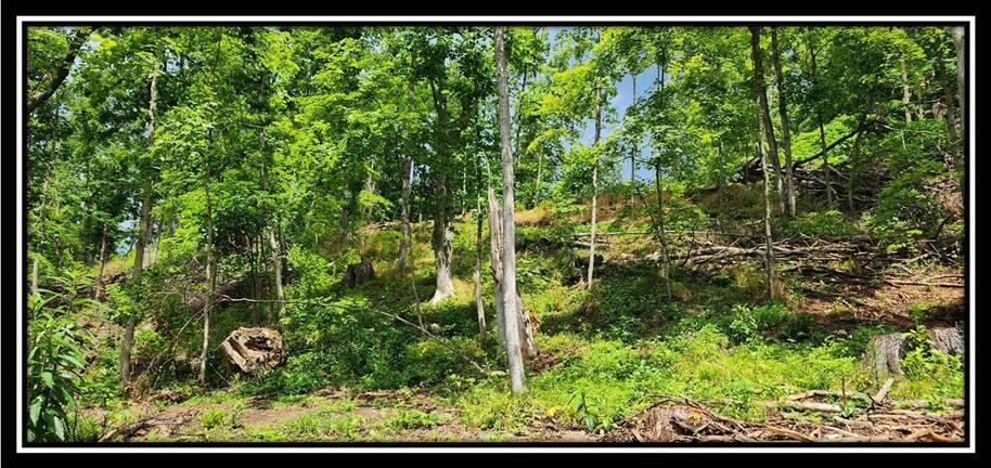 0 Featherstone Road Stewart, OH 45778 - Photo 20 of 72 image021