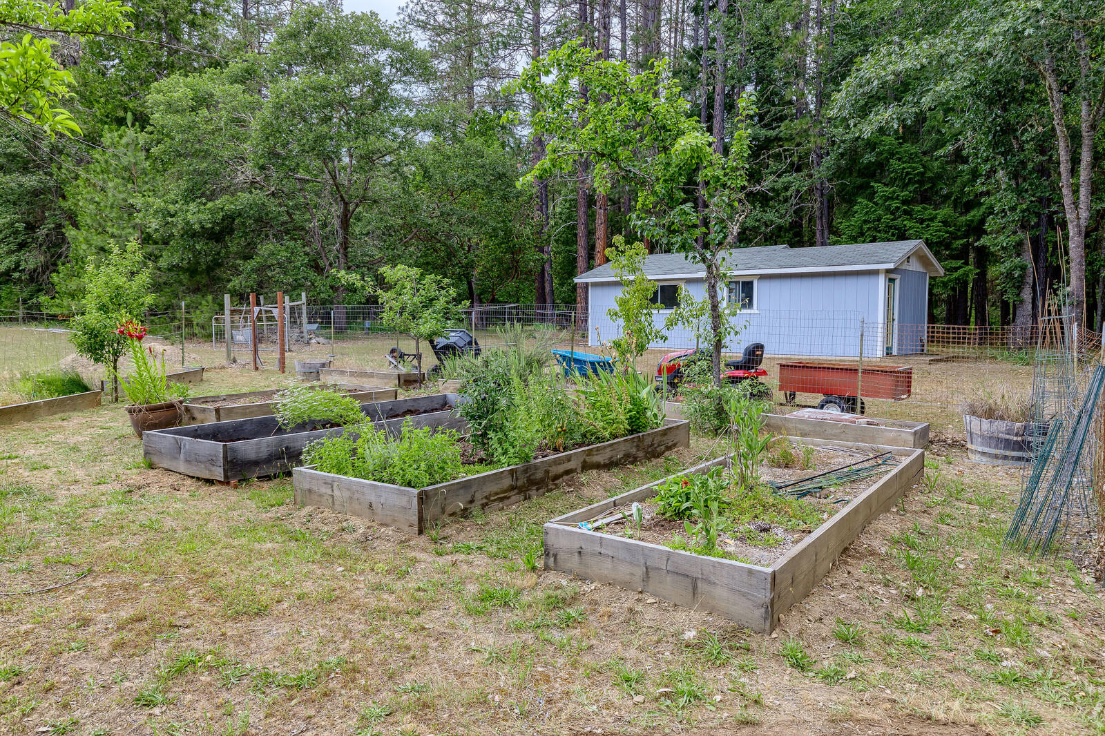 2444 Cedar Flat Road Williams, OR 97544 - Photo 45 of 74 56_CFR_56_mls
