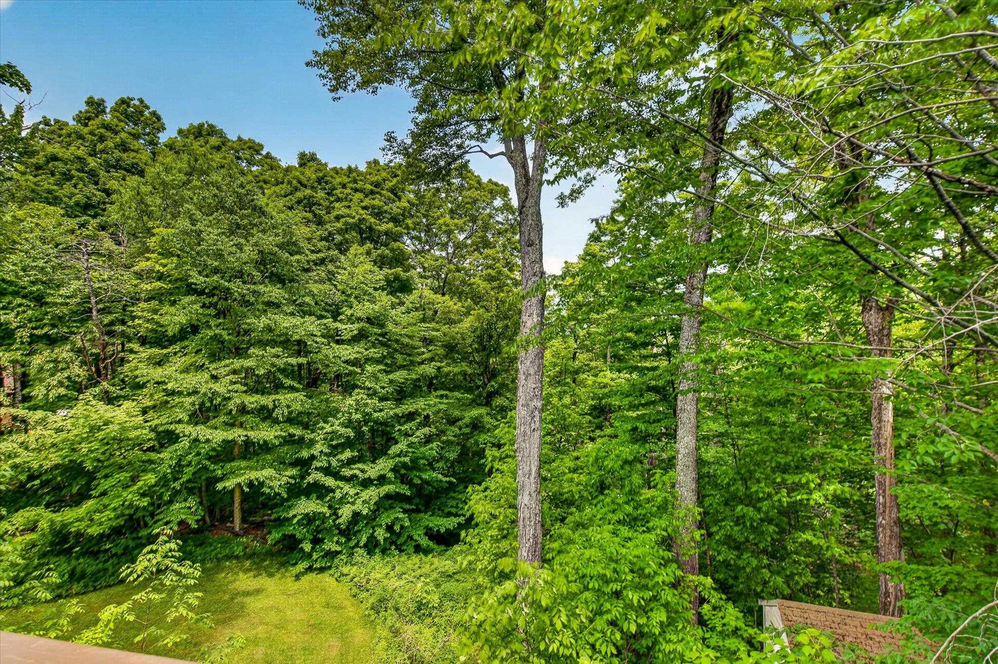 309 Lady Slipper Lane Killington, VT 05751 - Photo 8 of 59