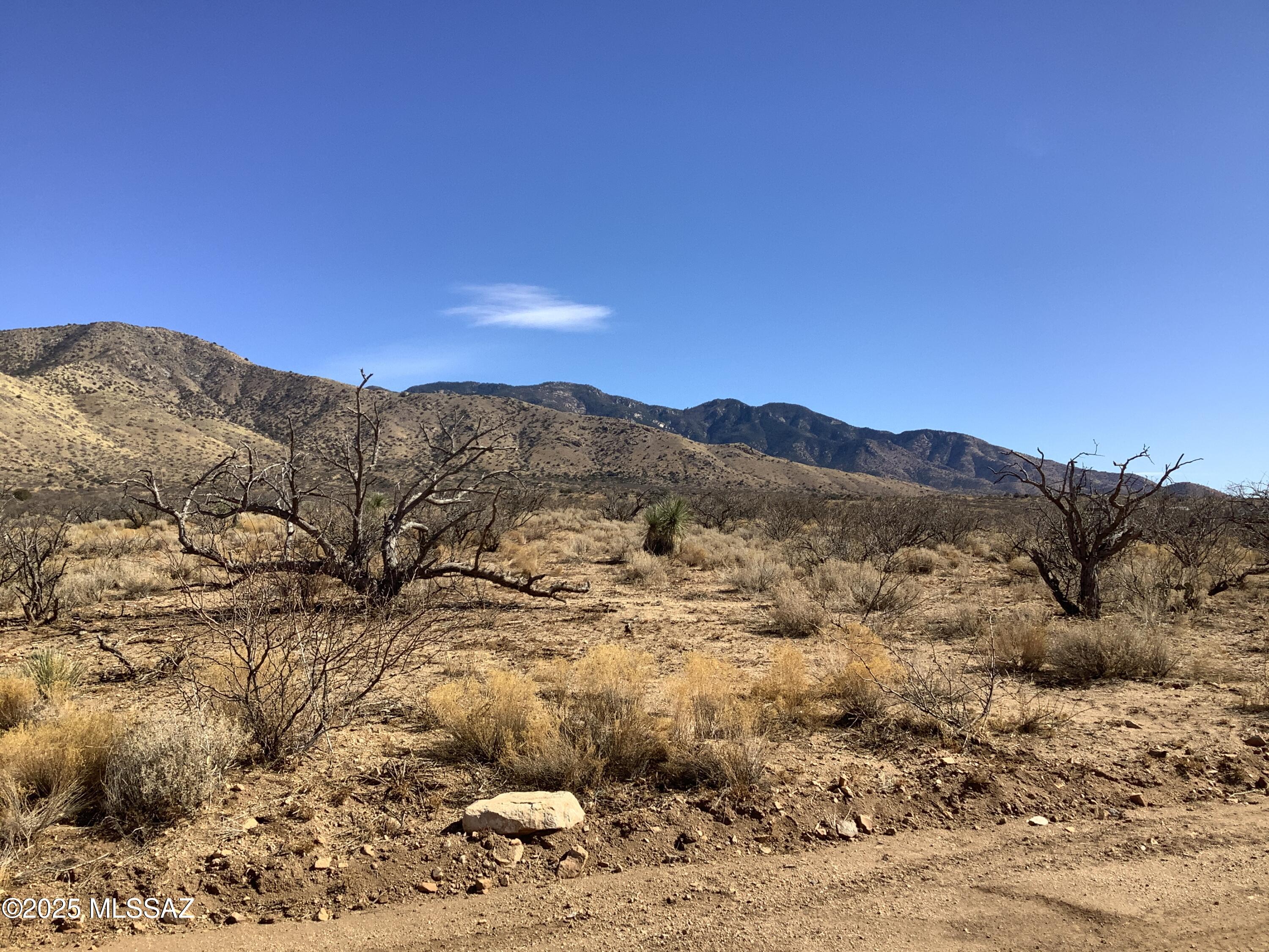 37.21-ac West Sheepwash Road, Unit 254 Willcox, AZ 85643 - Photo 33 of 37