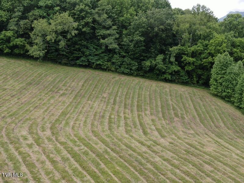 290 Snyder Ridge Road Rose Hill, VA 24281 - Photo 2 of 48 bb598c03-2455-48e5-8bd6-b7e166b79969