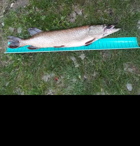 $1,297,000 | 10608 Grunwald Avenue Northwest, Maple Lake, MN 55358