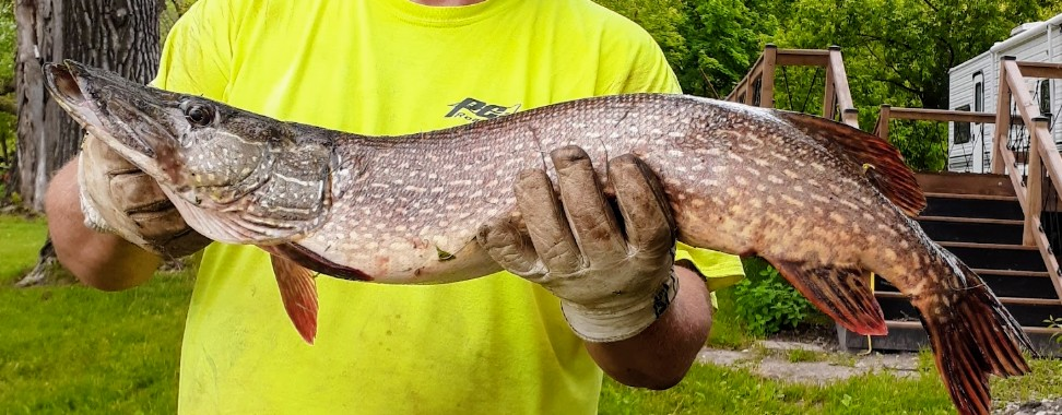 10608 Grunwald Avenue Northwest Maple Lake, MN 55358 - Photo 79 of 82