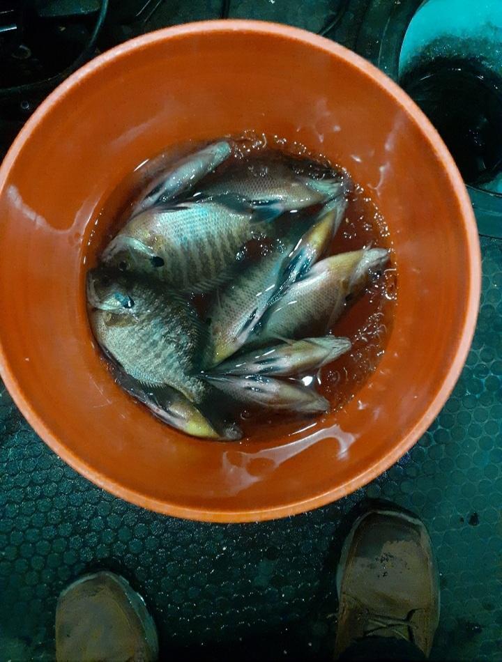 10608 Grunwald Avenue Northwest Maple Lake, MN 55358 - Photo 80 of 82