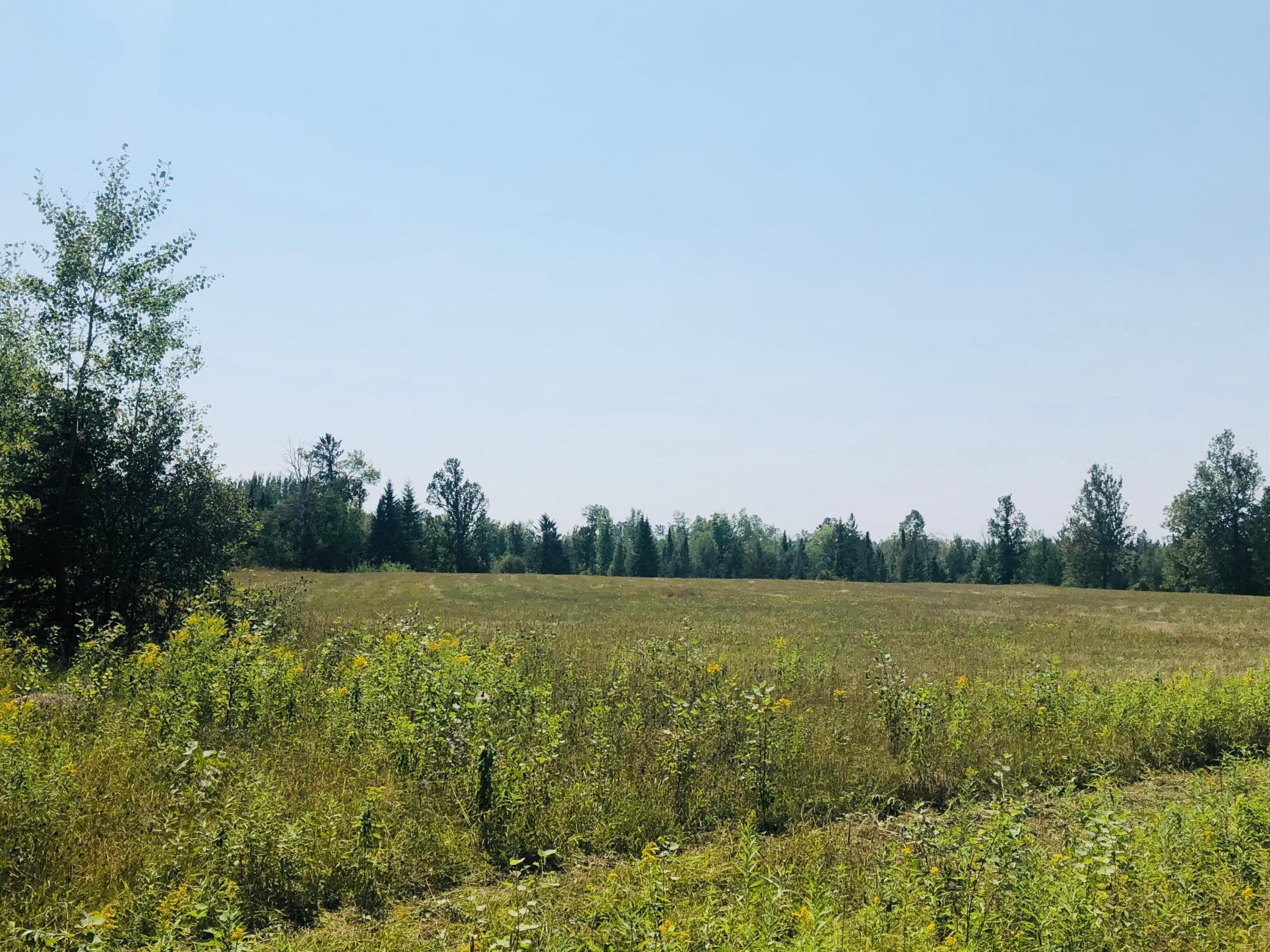Tbd Tbd Connors Lake Road Bigfork, MN 56628 - Photo 1 of 1