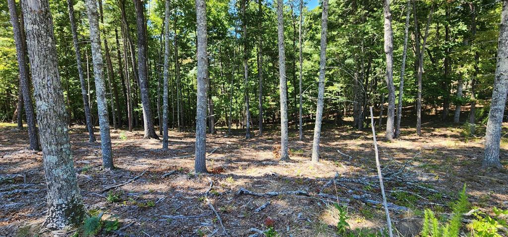 Lot 51 Ridge Drive Morganton, GA 30560 - Photo 2 of 6 a view of a wooden house with a backyard