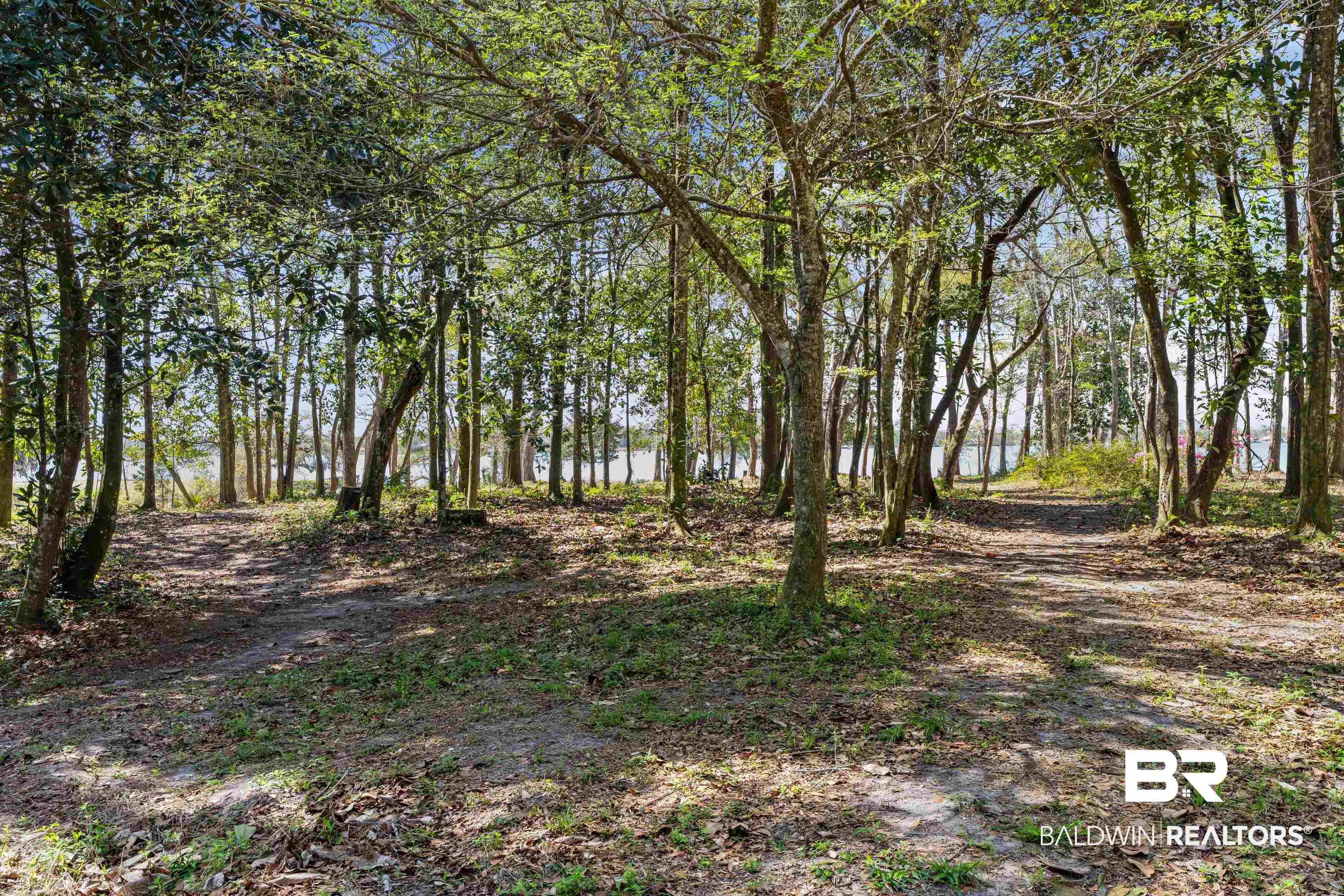 Forrest Street Mobile, AL 36605 - Photo 3 of 19