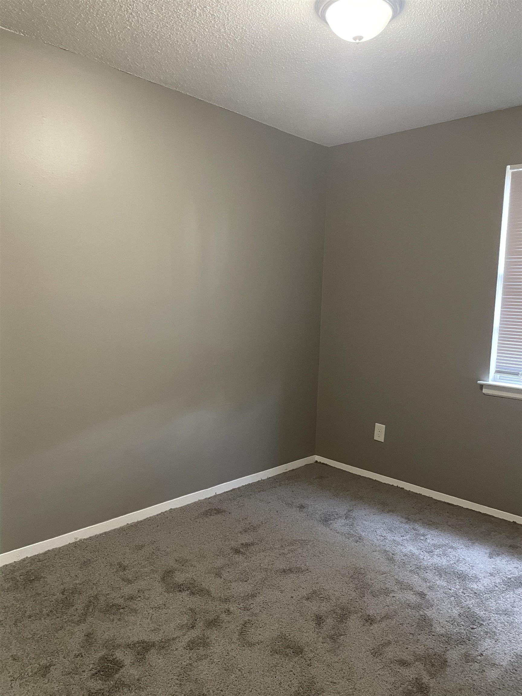 355 Glencoe Road Memphis, TN 38109 - Photo 4 of 10 Gallery Image 4