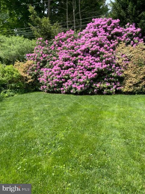 260 Orchard Road Newark, DE 19711 - Photo 42 of 43 Backyard