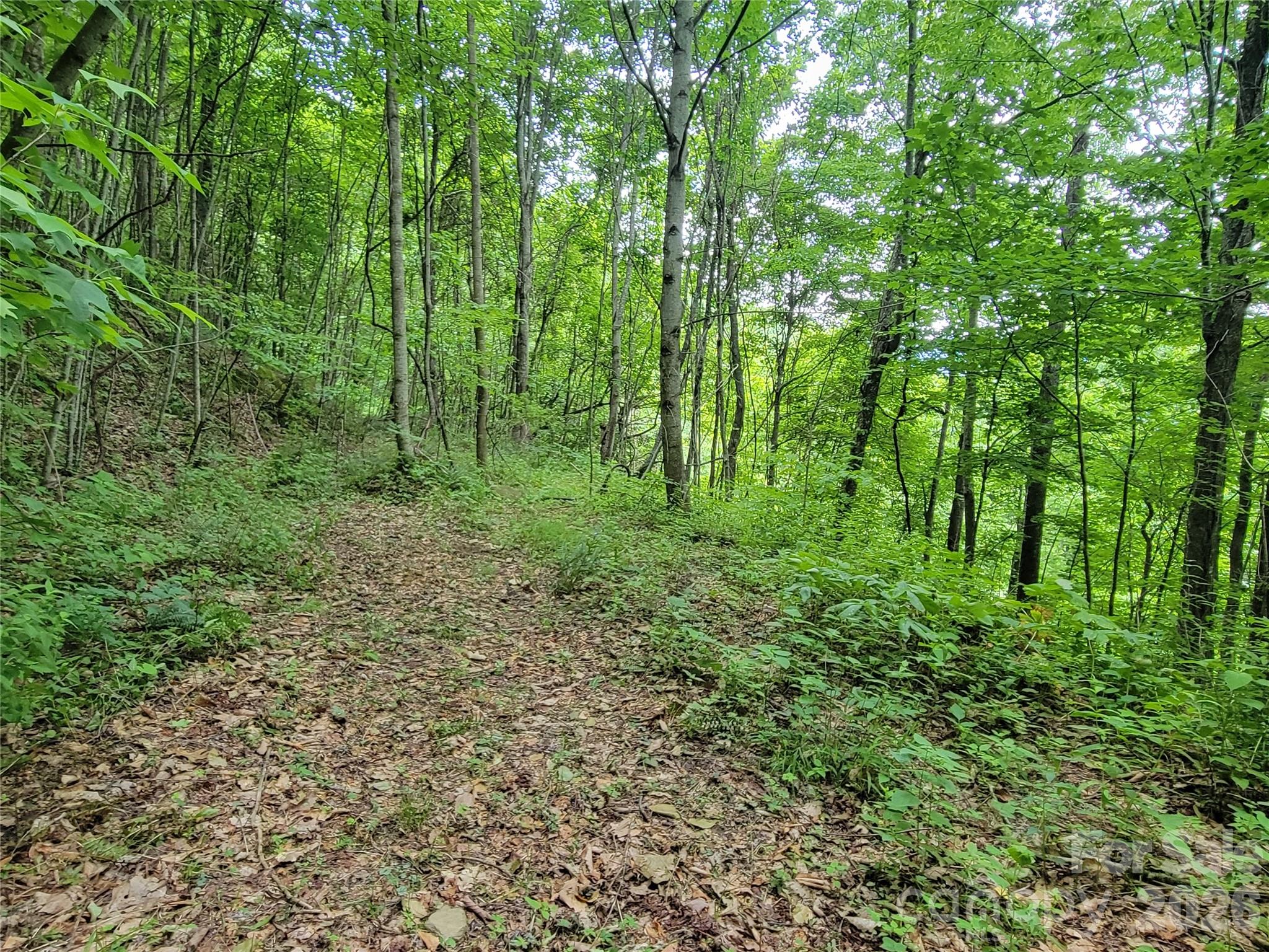 75 Rimrock Ridge, Unit I Clyde, NC 28721 - Photo 12 of 17