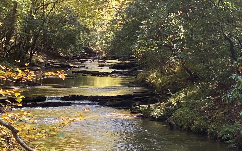 Coffee Mill Run Talking Rock, GA 30175 - Photo 1 of 1 Main View