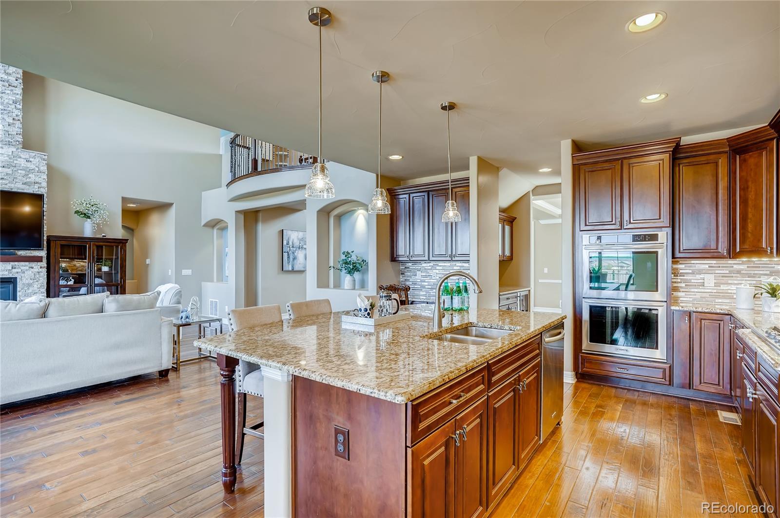 10769 Sundial Rim Road Highlands Ranch, CO 80126 - Photo 16 of 39