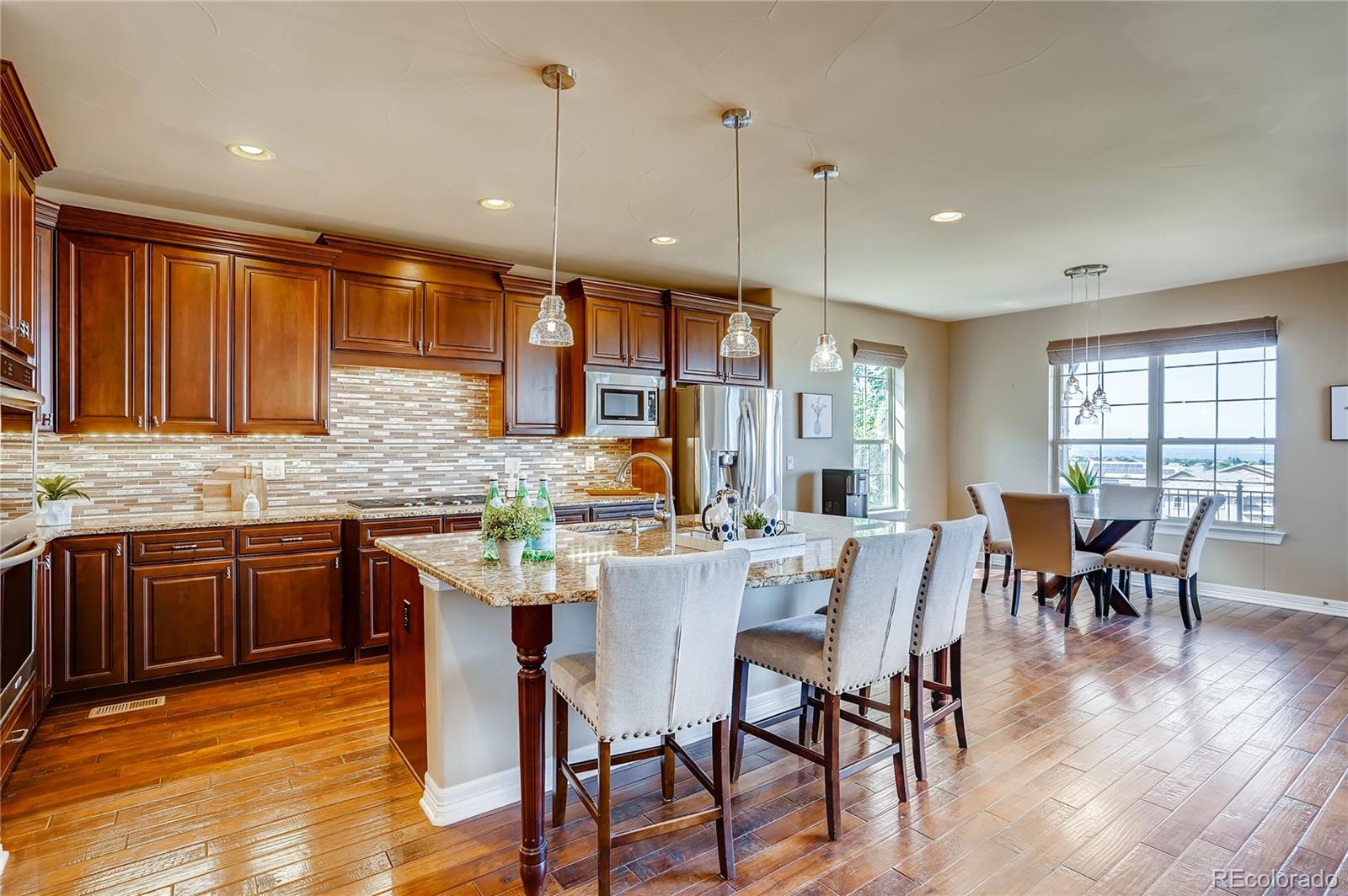 10769 Sundial Rim Road Highlands Ranch, CO 80126 - Photo 19 of 39