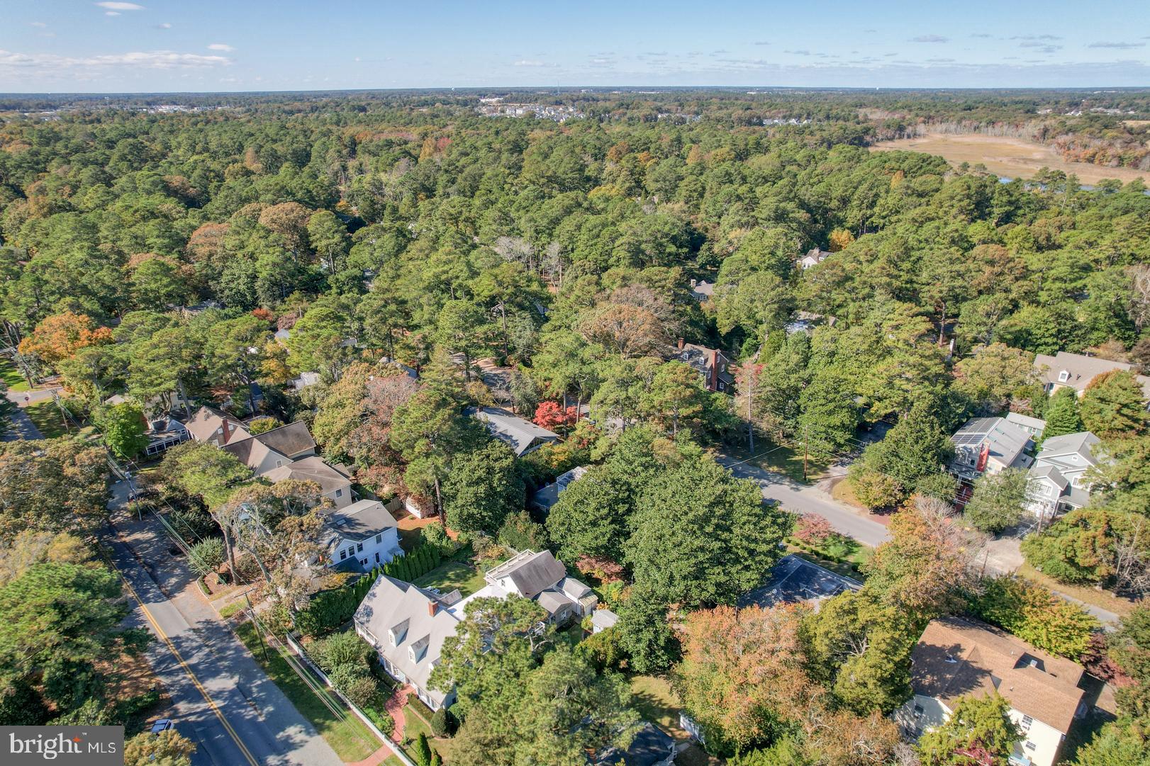 18 Henlopen Avenue Rehoboth Beach, DE 19971 - Photo 32 of 39