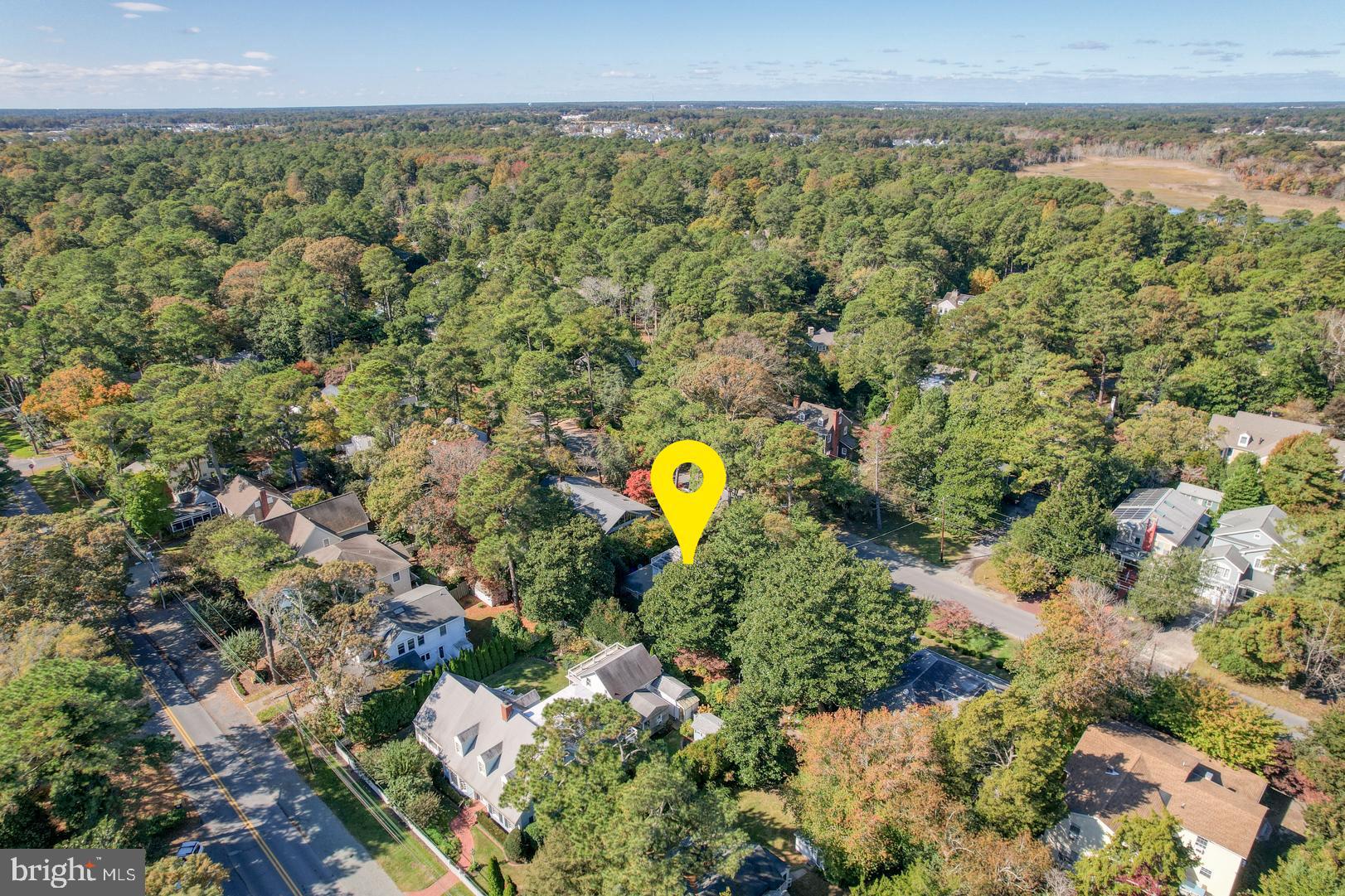 18 Henlopen Avenue Rehoboth Beach, DE 19971 - Photo 33 of 39