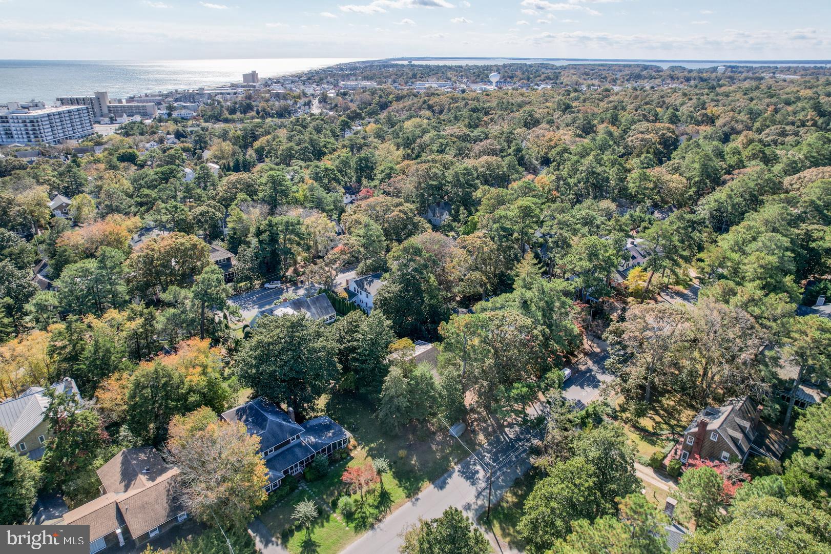 18 Henlopen Avenue Rehoboth Beach, DE 19971 - Photo 36 of 39