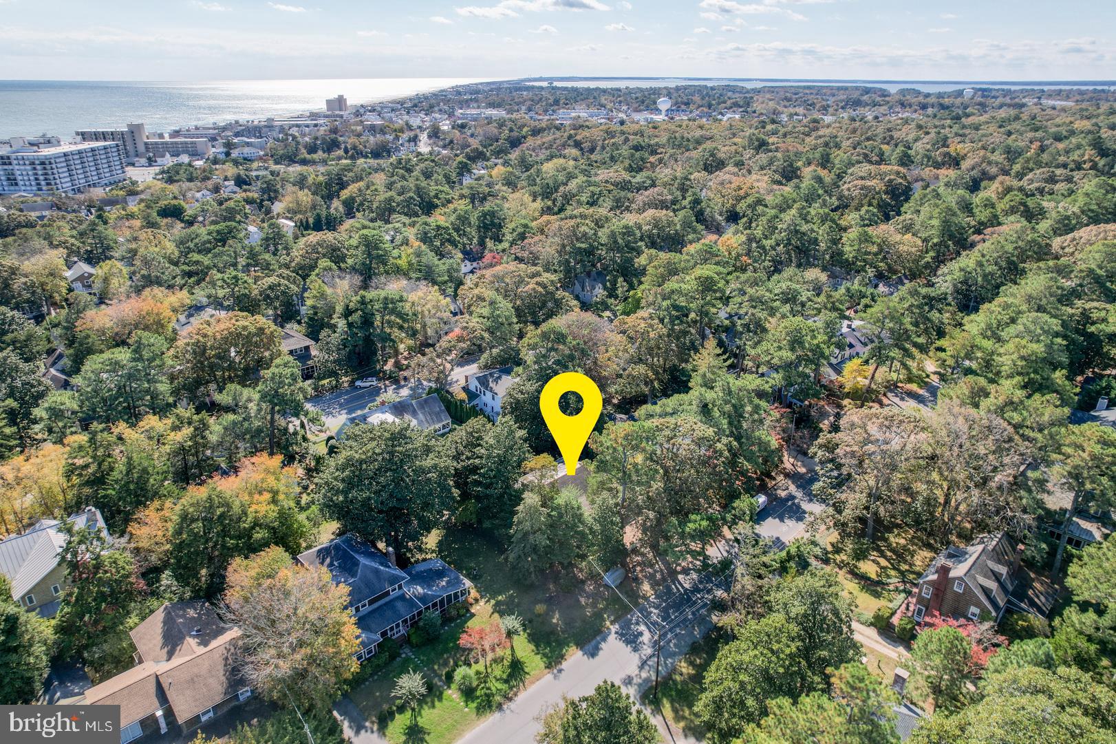 18 Henlopen Avenue Rehoboth Beach, DE 19971 - Photo 37 of 39