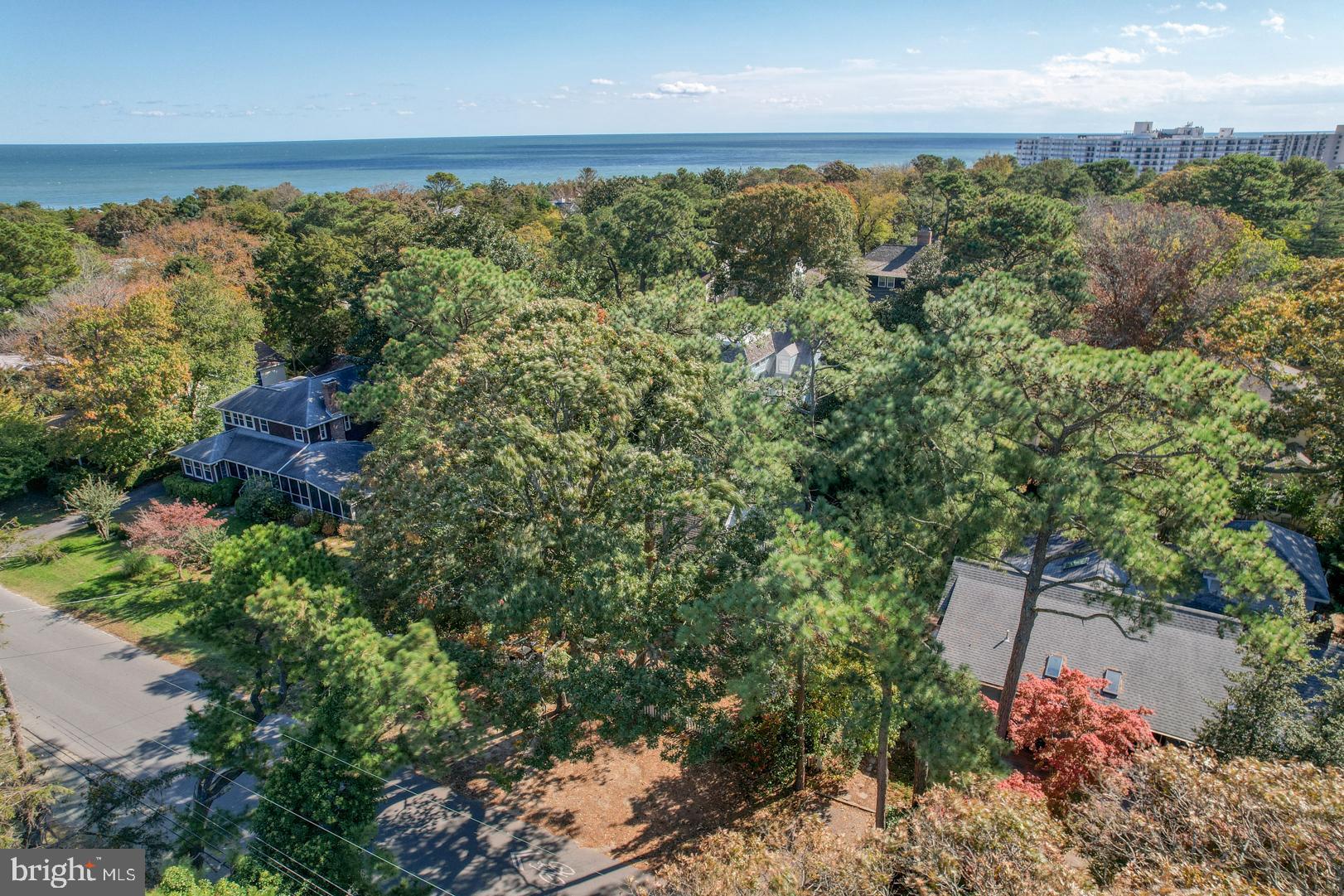 18 Henlopen Avenue Rehoboth Beach, DE 19971 - Photo 7 of 39