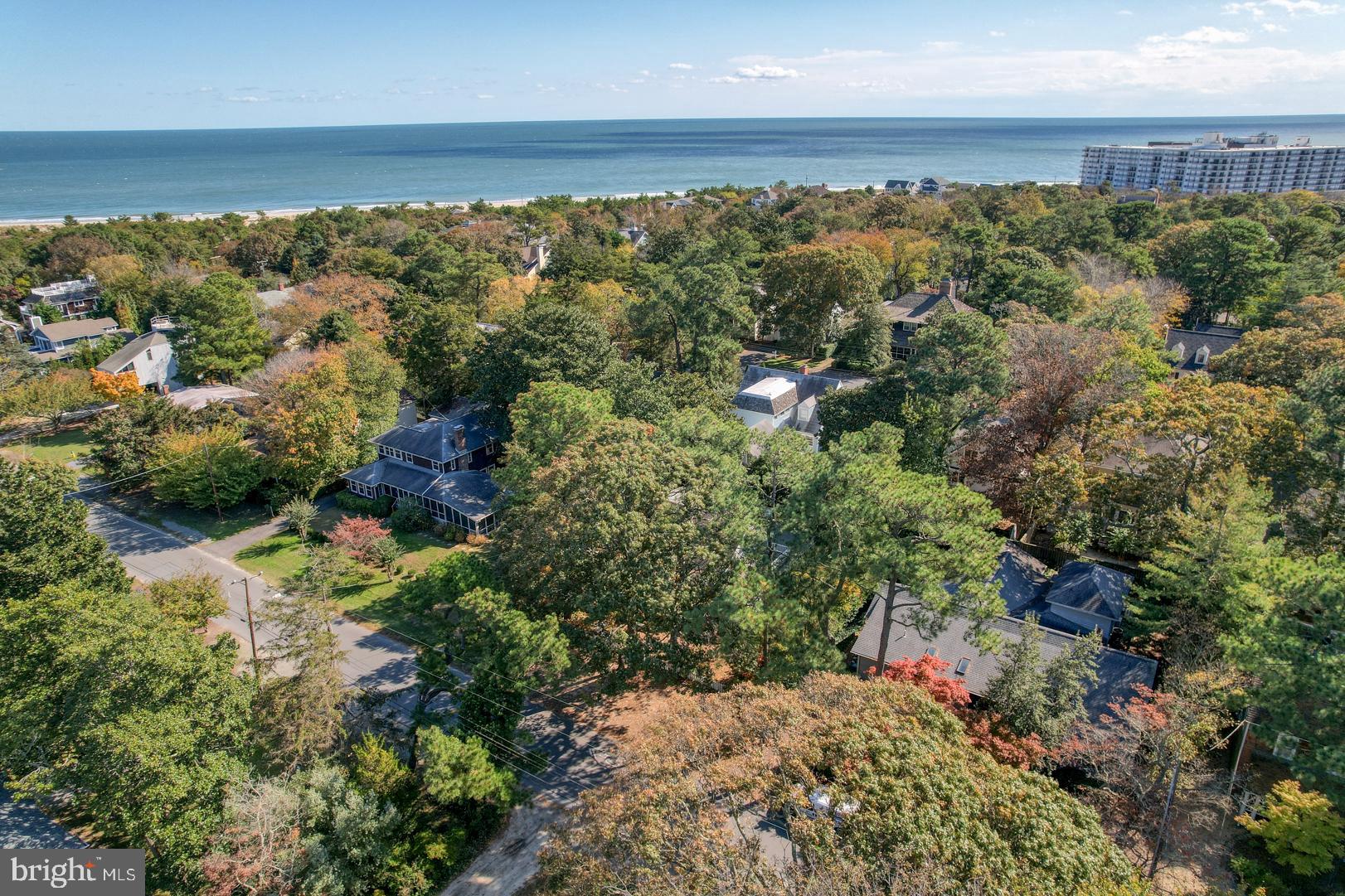 18 Henlopen Avenue Rehoboth Beach, DE 19971 - Photo 8 of 39