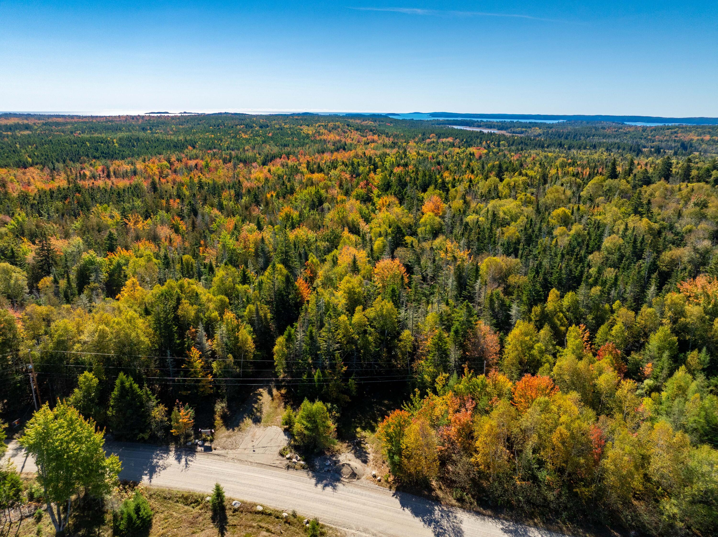 408 Duck Cove Rd Roque Bluffs (5 of 56)