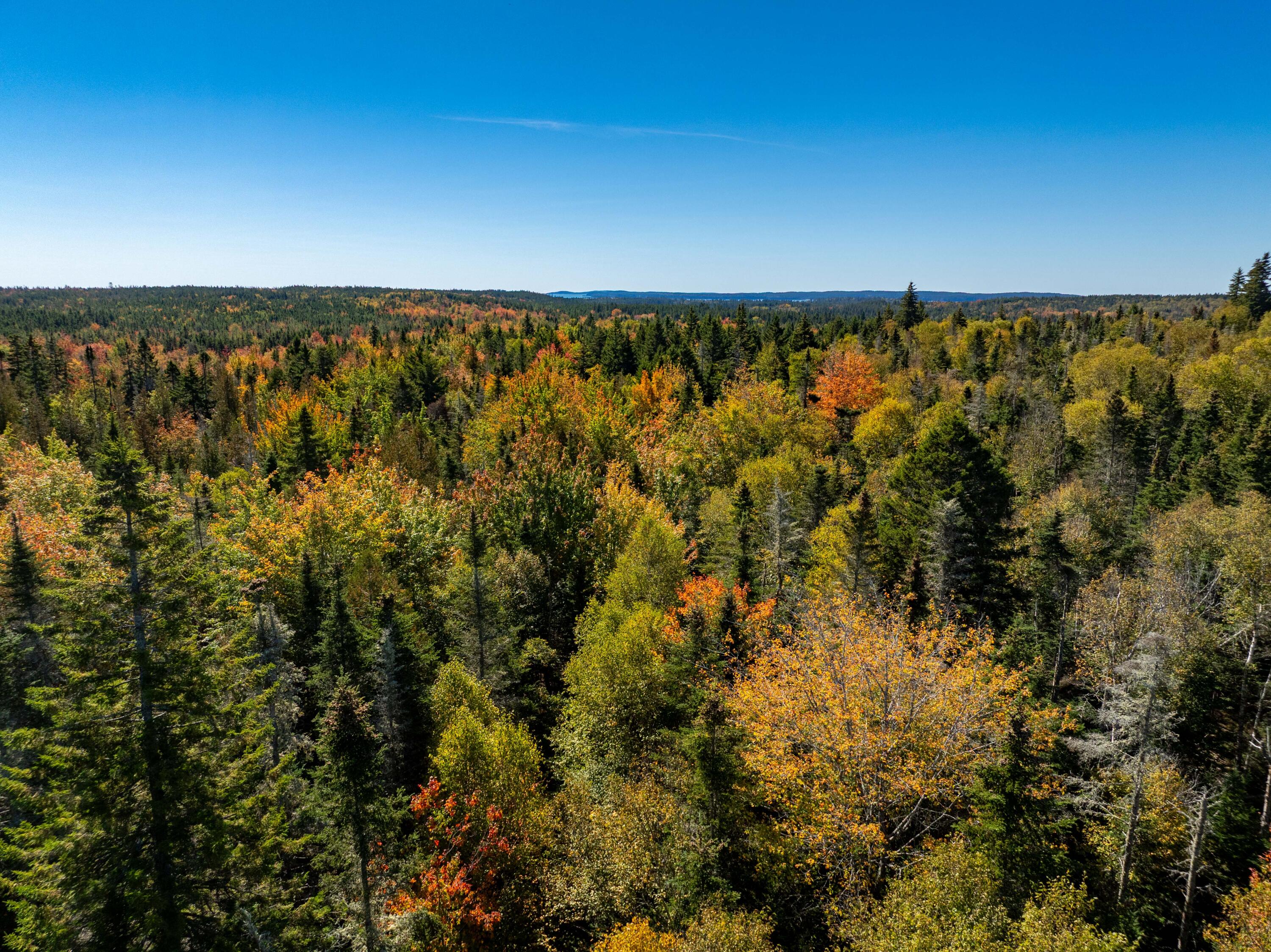 47-48d Duck Cove Road Roque Bluffs, ME 04654 - Photo 2 of 15 408 Duck Cove Rd Roque Bluffs (6 of 56)