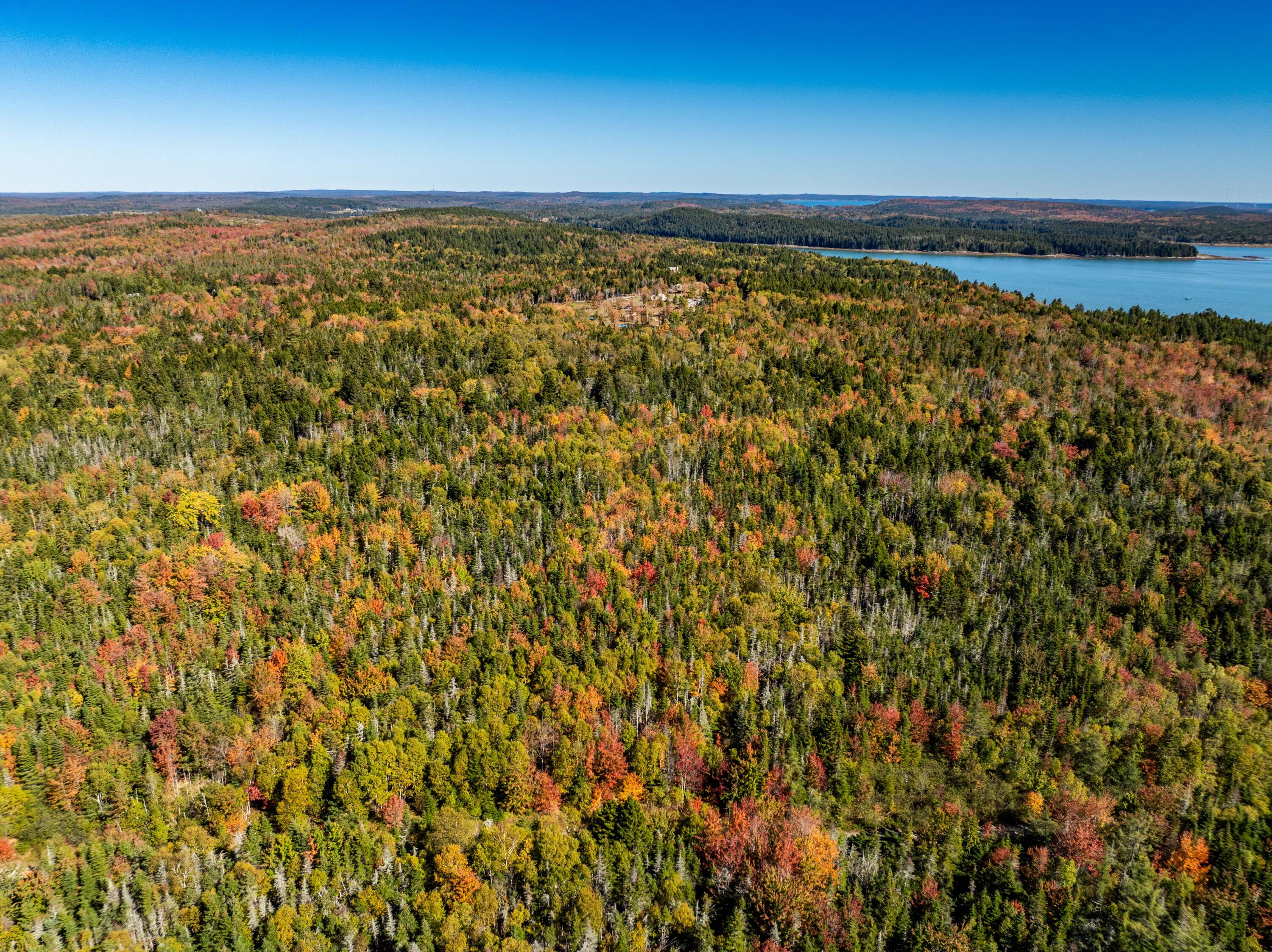 47-48d Duck Cove Road Roque Bluffs, ME 04654 - Photo 7 of 15 408 Duck Cove Rd Roque Bluffs (12 of 56)