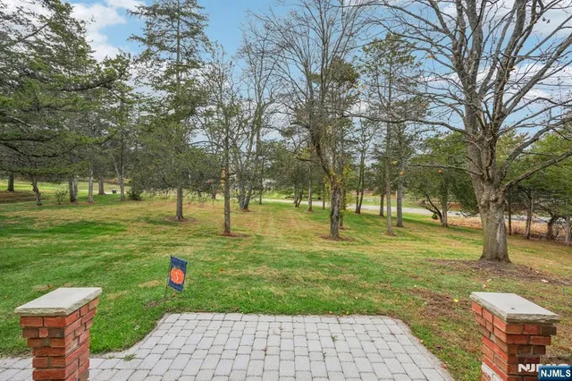 a view of a park with large trees