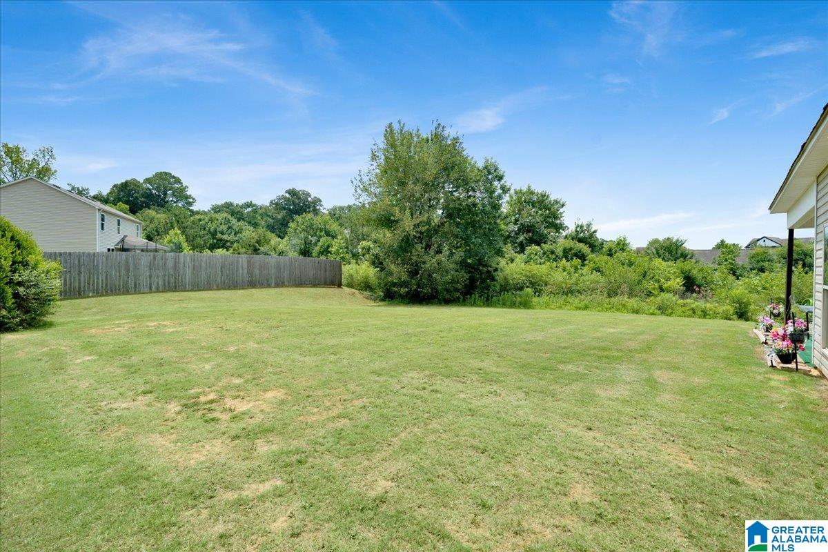 156 Waterstone Way Calera, AL 35040 - Photo 6 of 46