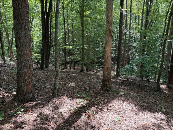 $69,900 | 0 Mountain Brook Trail, Unit 298, Nebo, NC 28761