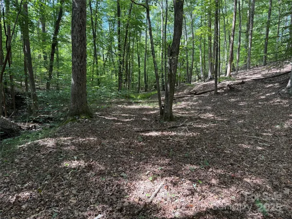 $69,900 | 0 Mountain Brook Trail, Unit 298, Nebo, NC 28761