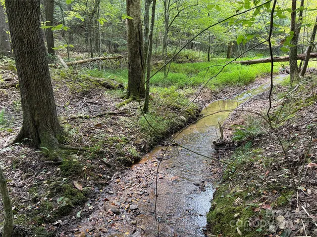 $69,900 | 0 Mountain Brook Trail, Unit 298, Nebo, NC 28761