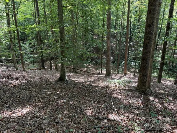 $69,900 | 0 Mountain Brook Trail, Unit 298, Nebo, NC 28761