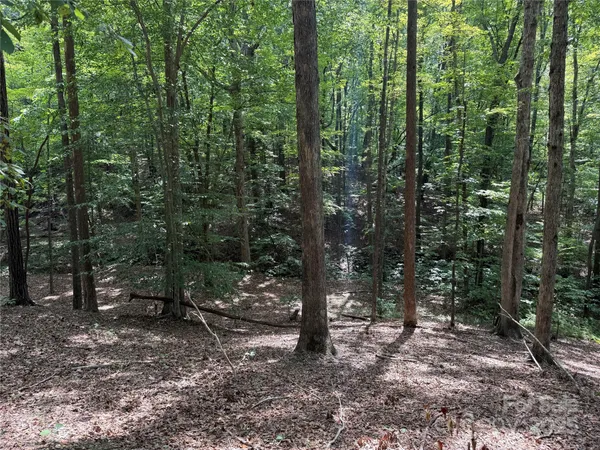 $69,900 | 0 Mountain Brook Trail, Unit 298, Nebo, NC 28761