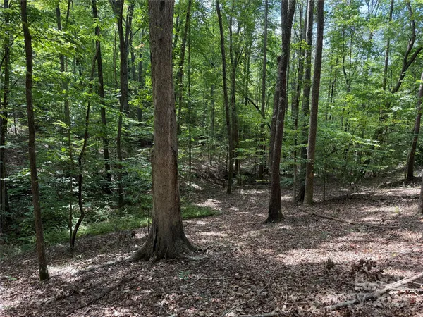 $69,900 | 0 Mountain Brook Trail, Unit 298, Nebo, NC 28761