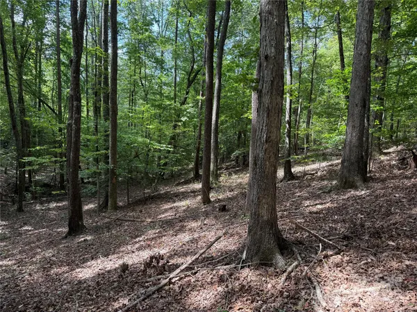 $69,900 | 0 Mountain Brook Trail, Unit 298, Nebo, NC 28761