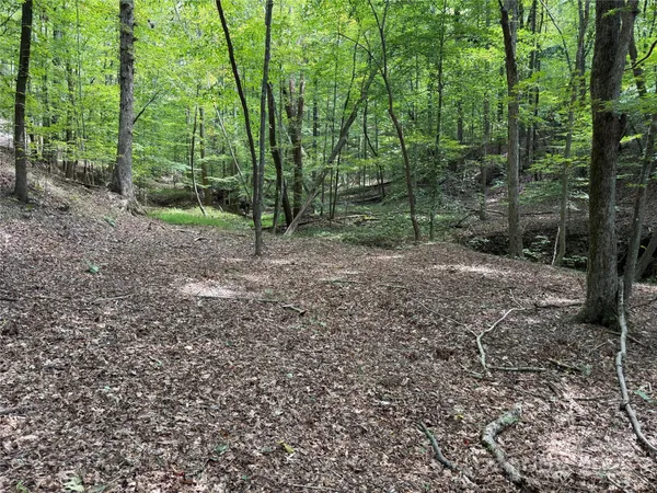$69,900 | 0 Mountain Brook Trail, Unit 298, Nebo, NC 28761