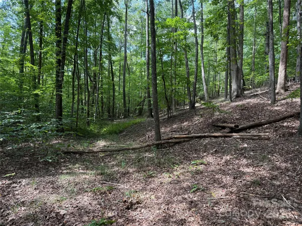 $69,900 | 0 Mountain Brook Trail, Unit 298, Nebo, NC 28761