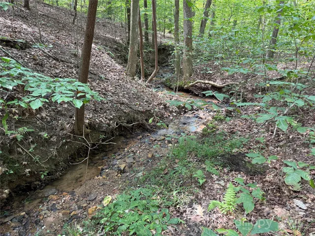 $69,900 | 0 Mountain Brook Trail, Unit 298, Nebo, NC 28761