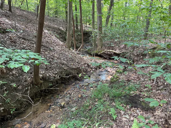 $69,900 | 0 Mountain Brook Trail, Unit 298, Nebo, NC 28761
